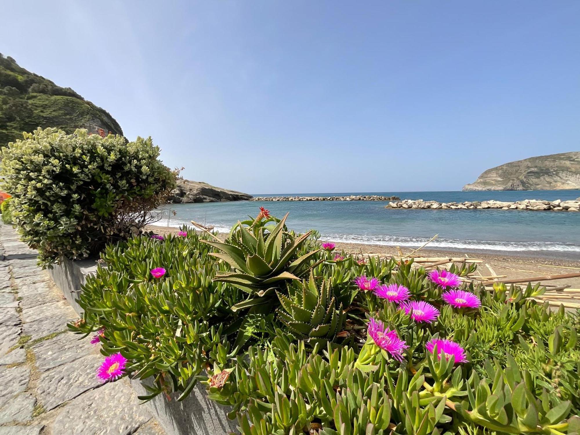 Appartement Casa Francesco Seaside à Sant'Angelo  Extérieur photo